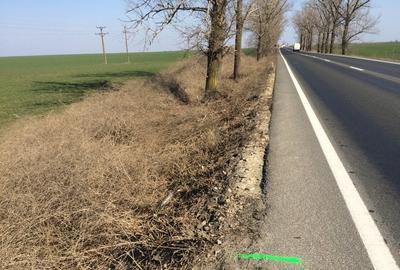 Vand/inchiriez teren  37.000 mp deschidere 75 metri la DN7. Ideal investitie. - 1