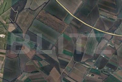 Teren de 11600 mp, în Remetea Mare