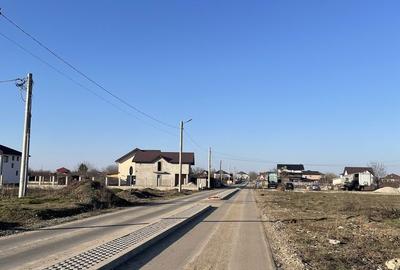 Teren de 5000 mp, în Ciorogârla - 3