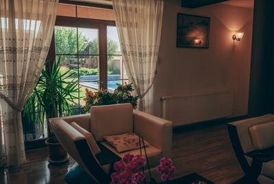 Vila cu piscina Fantanele, Arad - 8