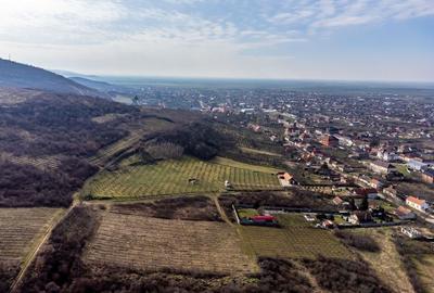 Teren intravilan în Șiria pe deal - 3