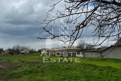 Teren intravilan 2766 mp in Dinias 20km de Timisoara - 2