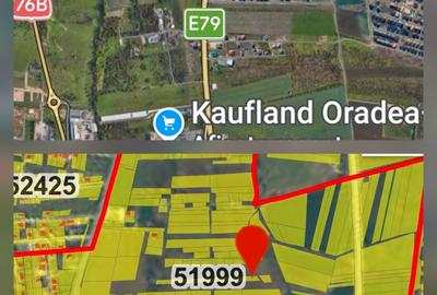 Spațiu comercial, în Sânmartin - 1