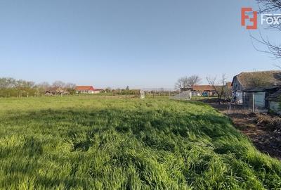 COMISION 0% Casa individuala 5 camere Checea - Gospodarie si teren 1789 mp - 28