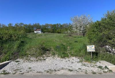 Spațiu comercial, în Măgina - 7