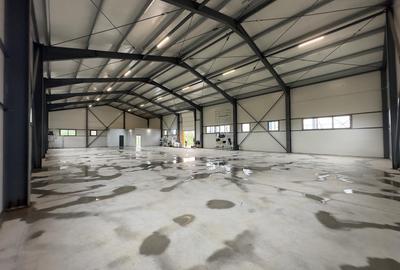 Hale noi de inchiriat –583/1166mp– Letcani, zona industrială activă | Showroom - 3