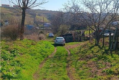 Teren Construcții intravilan de 83000 mp, în Vorovești - 5