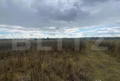 Teren de 2500 mp, în Central