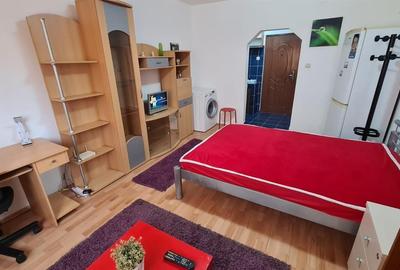 Garsoniera Spatioasa zona Blascovici - 7