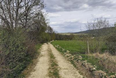 Teren de 823 mp, în Șinca - 2
