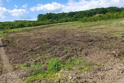 Spațiu comercial, în Central - 5