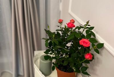 Apartament cu 2 camere semidecomandat, mobilat în Eremia - 7