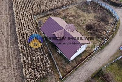 Casa + teren 2335 mp de vanzare – comuna Bodesti - 2