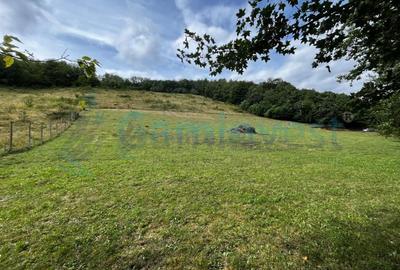 Teren agricol extravilan de 13500 mp, în Aștileu - 1