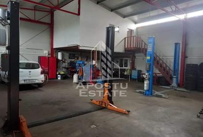 Sediu firma /birouri 60 mp/hala 160 mp/curte privata 240 mp Giroc - 5