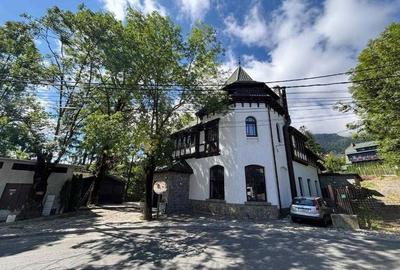Spațiu comercial, în Castelul Peleș - 4