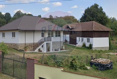 Vanzare casa la munte - zona turistica - Baia de Fier - 2