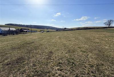 Teren intravilan de 2570 mp, în Săliștea Nouă - 1