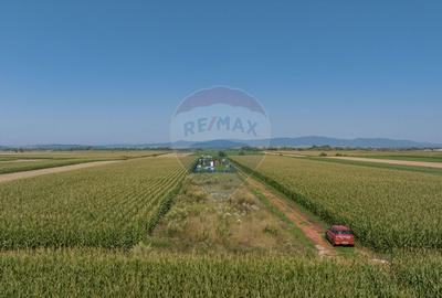 Teren de 1100 mp de vanzare in Stupini - 1