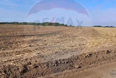 Teren de 21177 mp, în Santăul Mic