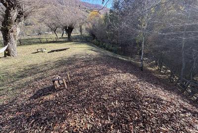 Spațiu comercial, în Uleni - 7