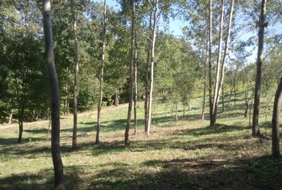 Teren livadă cu panoramă superbă Dealul Malului pentru casă sau cabană - 17