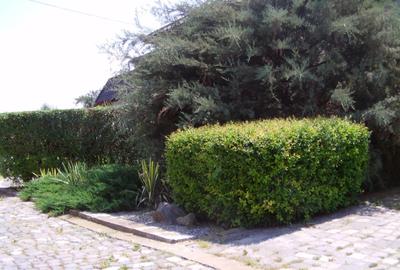 Casă cu 3 camere în Dănești - 1