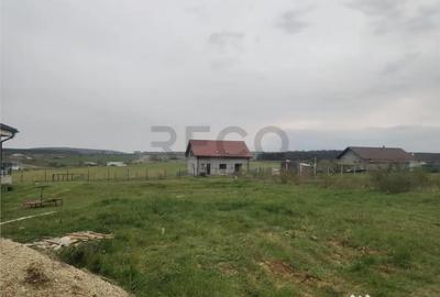 Teren de 566 mp, în Cihei - 3