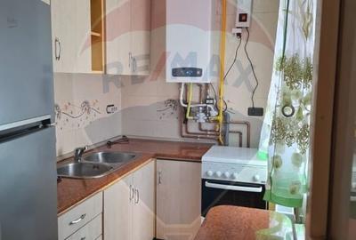 Apartament cu 1 camere decomandat, mobilat în Micălaca - 5