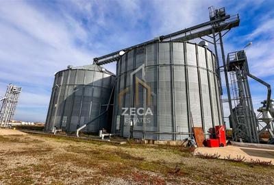 Spațiu industrial, de 30 mp, în Luciu - 11