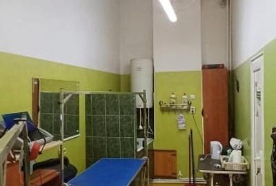 Spatiu comercial 65mp in Crangasi de inchiriat - 7