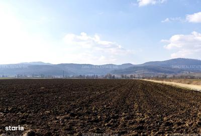 Teren de 19239 mp, în Vulcan - 16