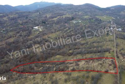 Teren de 14328 mp, în Nucșoara - 3