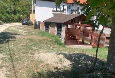 Casa de vacanta Pensiune Eselnita Clisura Dunarii - 2