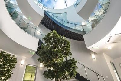 Tunari - Depozit și birouri de vânzare - 11