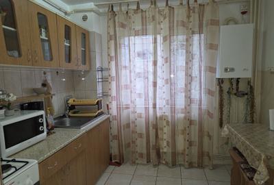 Apartament cu 2 camere semidecomandat în Exercițiu - 2