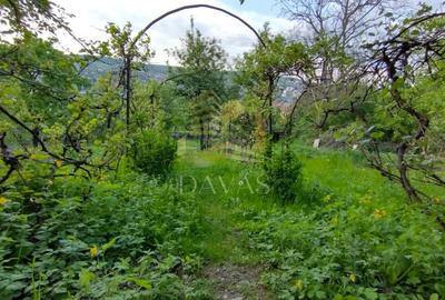 Casa alipita de vanzare | Gruia | Teren 890mp - 10