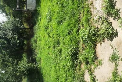 Proprietar Vand Casa in Bihor Proprietar Vand Casa in Bihor - 6