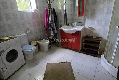 Vila Bolintin Vale - 17