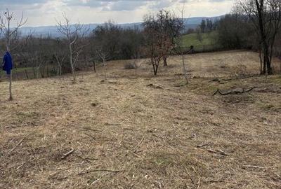 Teren de 2160 mp, în Dieci - 3