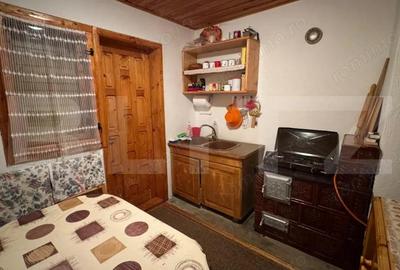 VAND CASA DE VACANTA LA COLIBITA, CU VEDERE SPRE LAC - 13