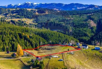 Teren de 13800 mp, în Fundățica - 5