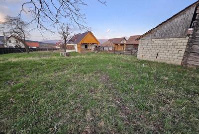 Casă cu Teren 3500 Mp în Zălan - 3