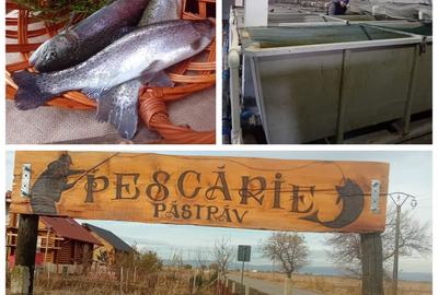 Casă cu 10 camere cu Teren 28000 Mp în Central - 4