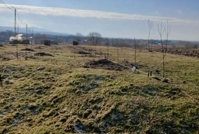 Teren Construcții intravilan de 3687 mp, în Dumbrava - 1