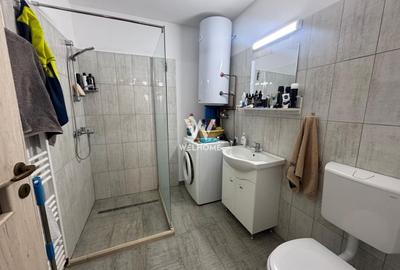 Casa de vacanta, sat Fantanele, Sibiu - 12