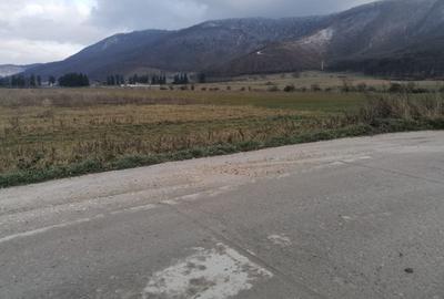 Teren intravilan - industrial, langa DN Brasov - Cristian. - 3