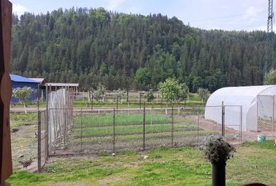 Casă cu 4 camere în Central - 1