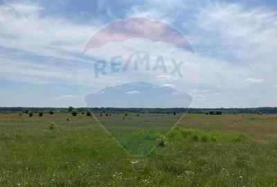 Teren intravilan de 973 mp, în Băneasa - 6