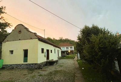 Casă cu 2 camere cu Teren 5000 Mp în Răchitova - 7